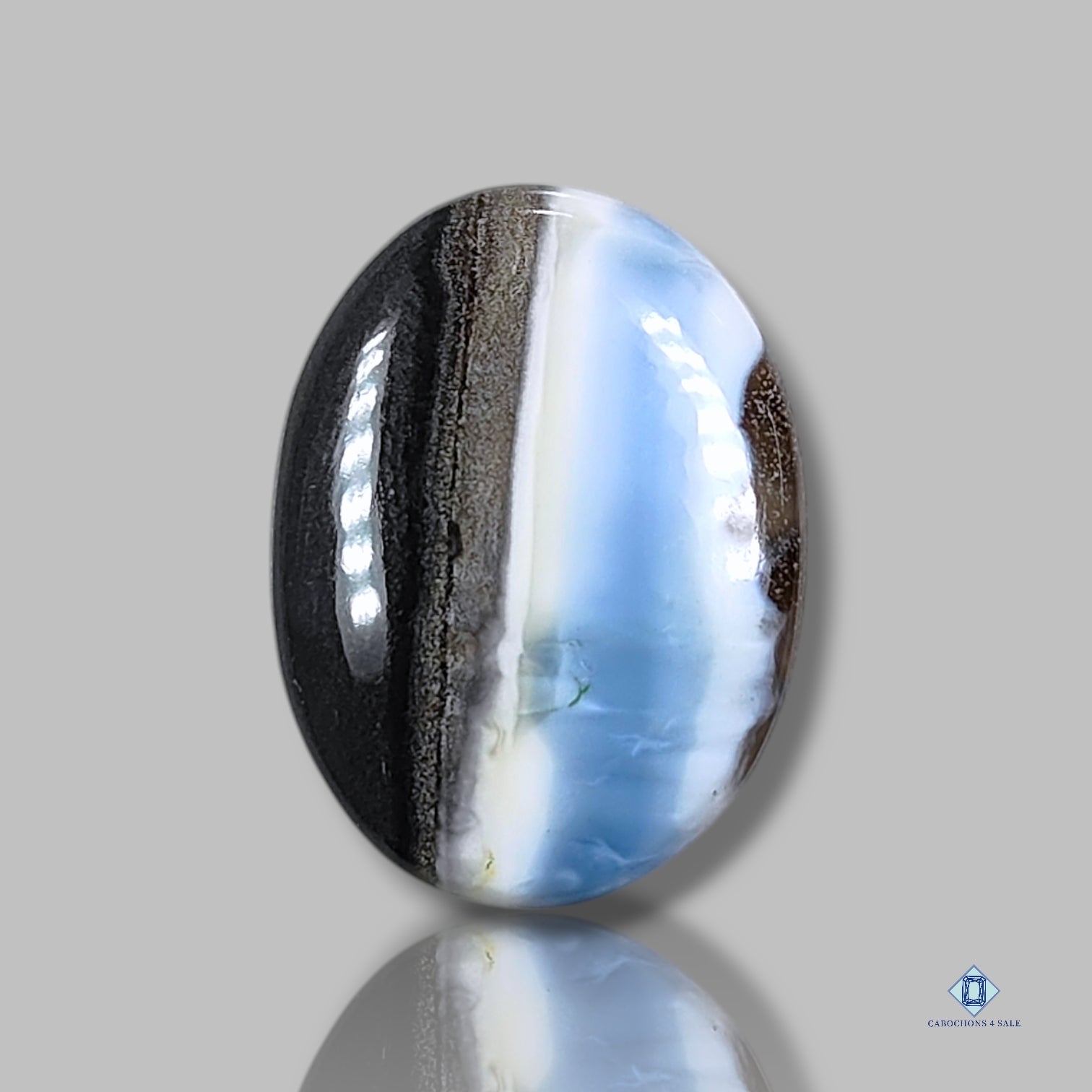 Bi Color Blue Opal