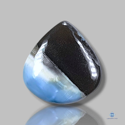 Bi Color Blue Opal