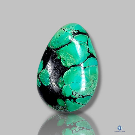 Bird Eye Turquoise