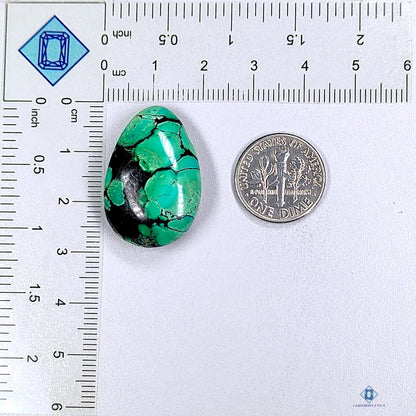 Bird Eye Turquoise Fancy Cabochons