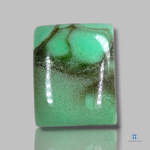Bird Eye Turquoise Rectangle Cabochons