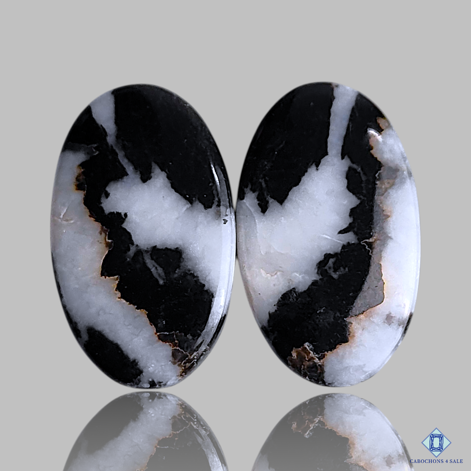 Black Buffalo Jasper