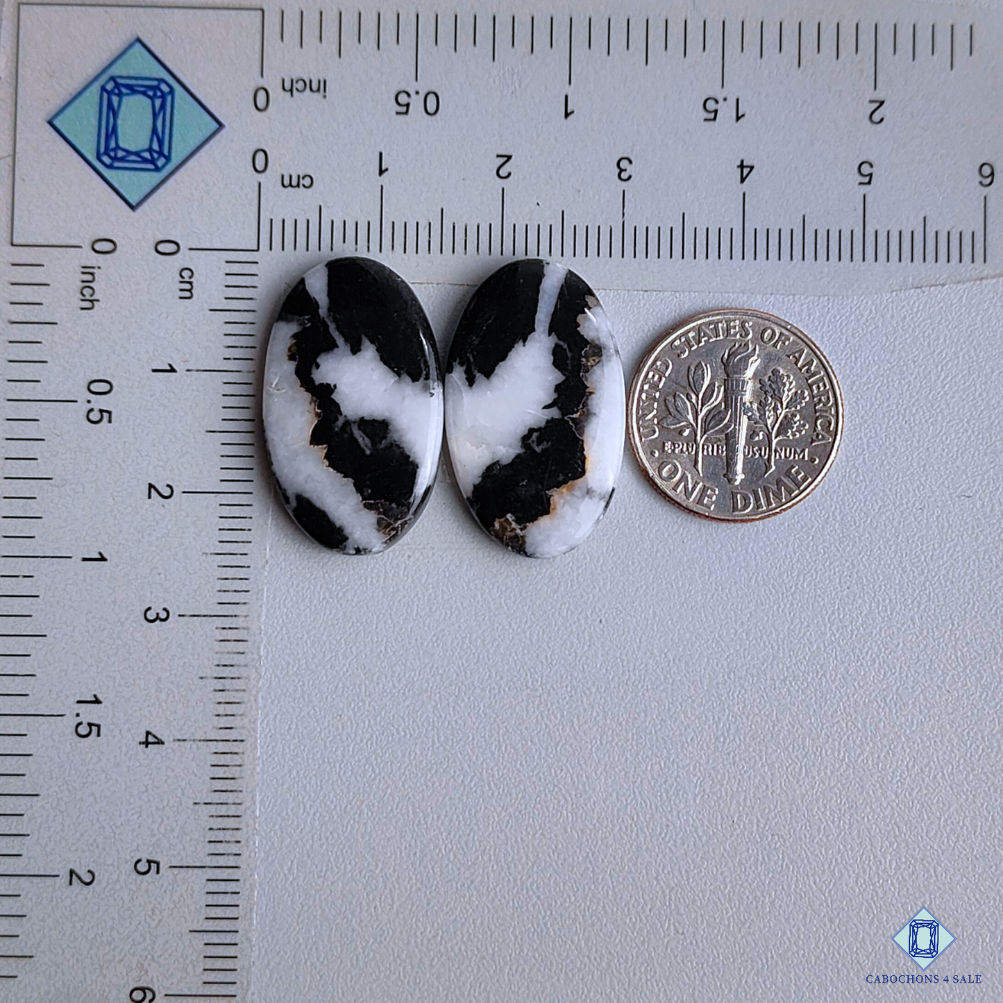 Black Buffalo Jasper