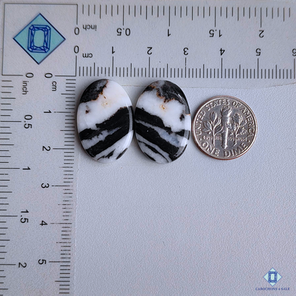 Black Buffalo Jasper