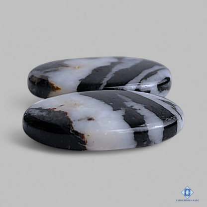 Black Buffalo Jasper