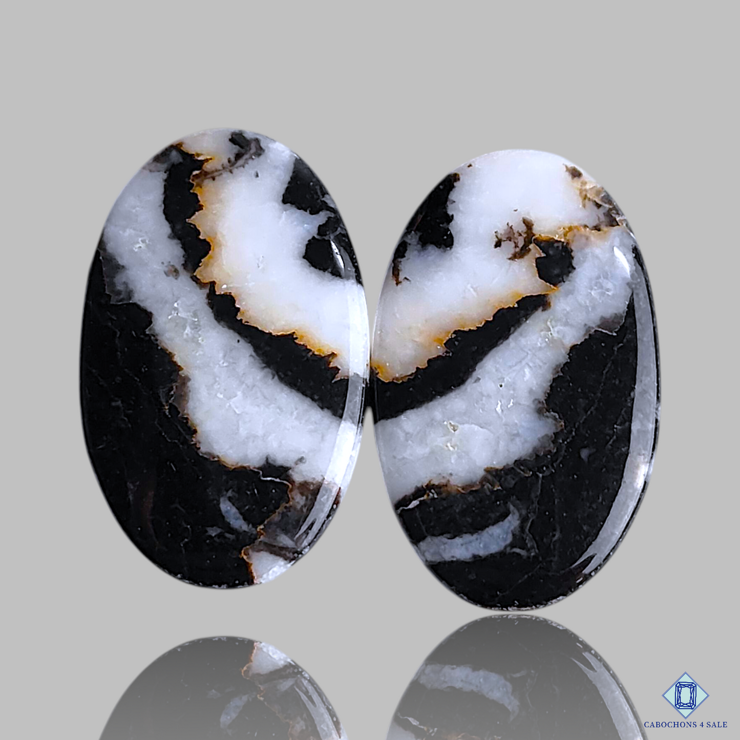 Black Buffalo Jasper
