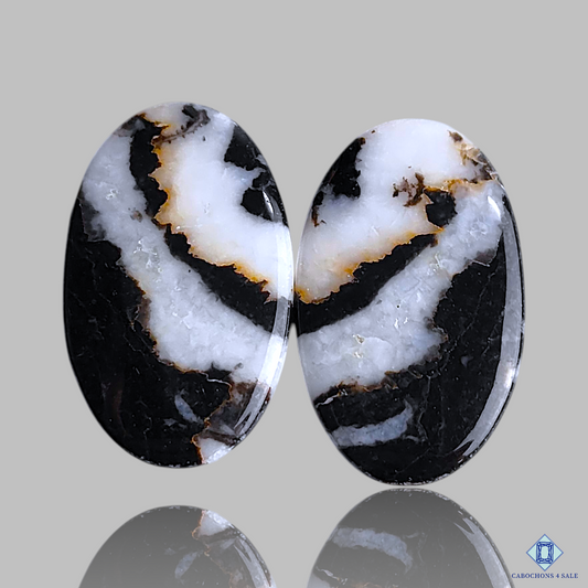 Black Buffalo Jasper