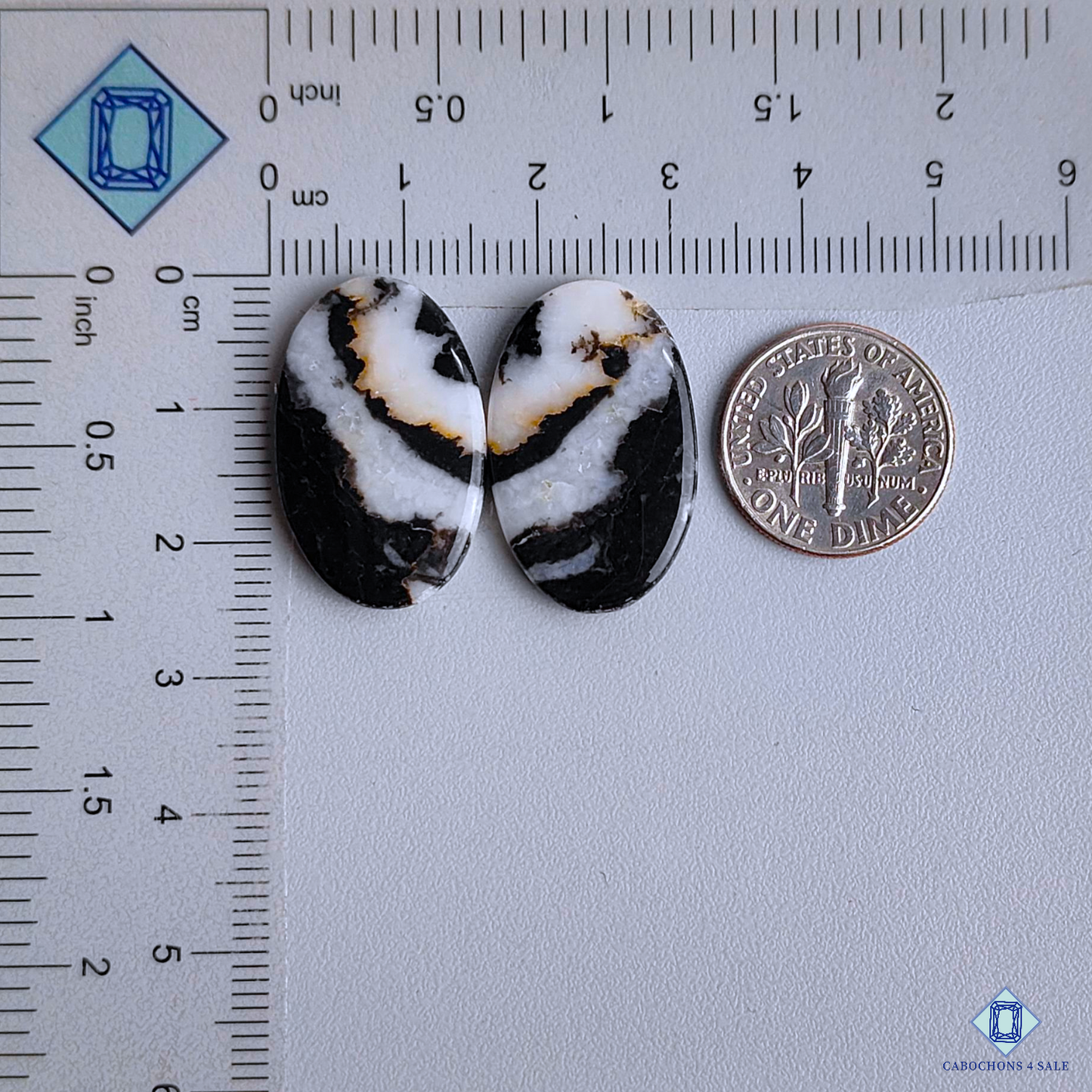 Black Buffalo Jasper