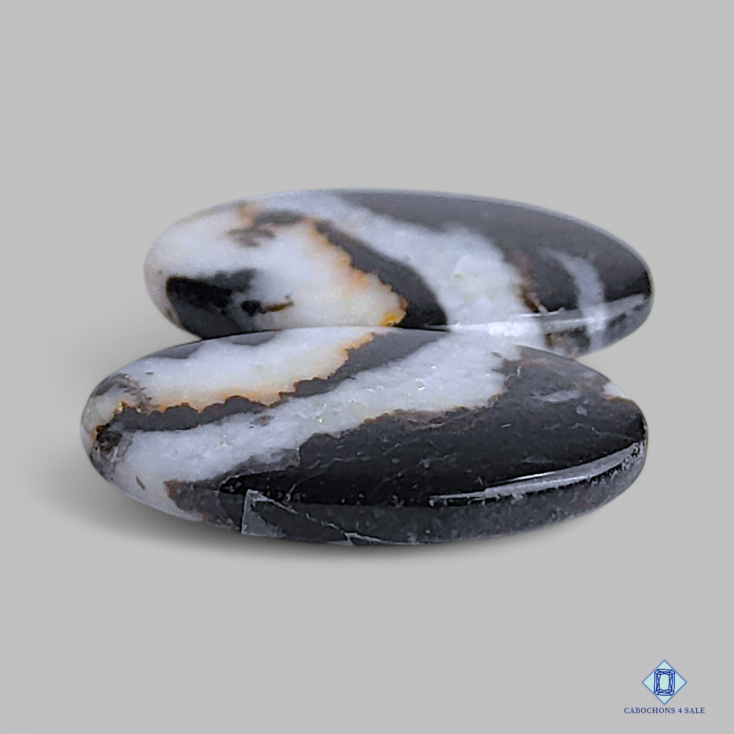 Black Buffalo Jasper