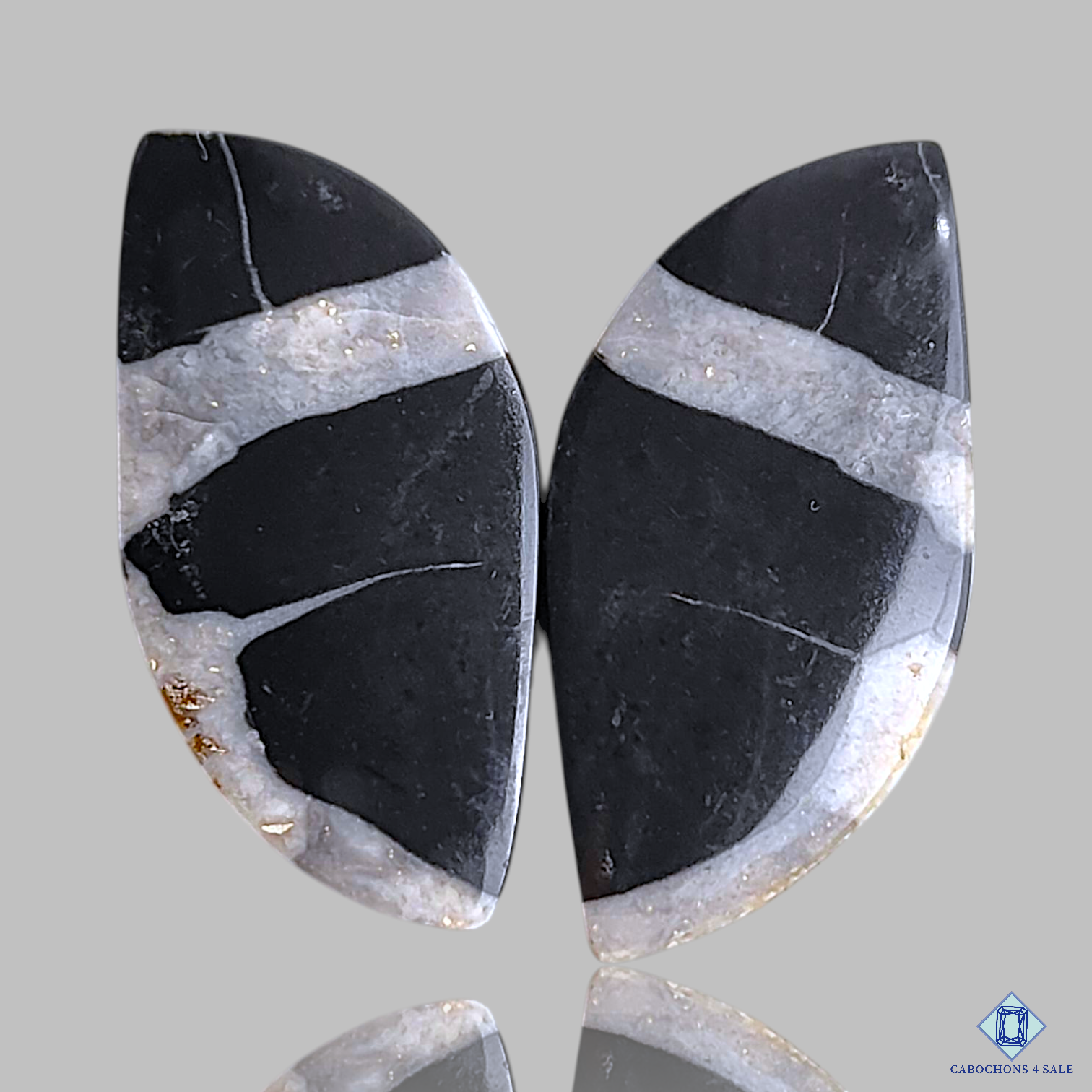 Black Buffalo Jasper