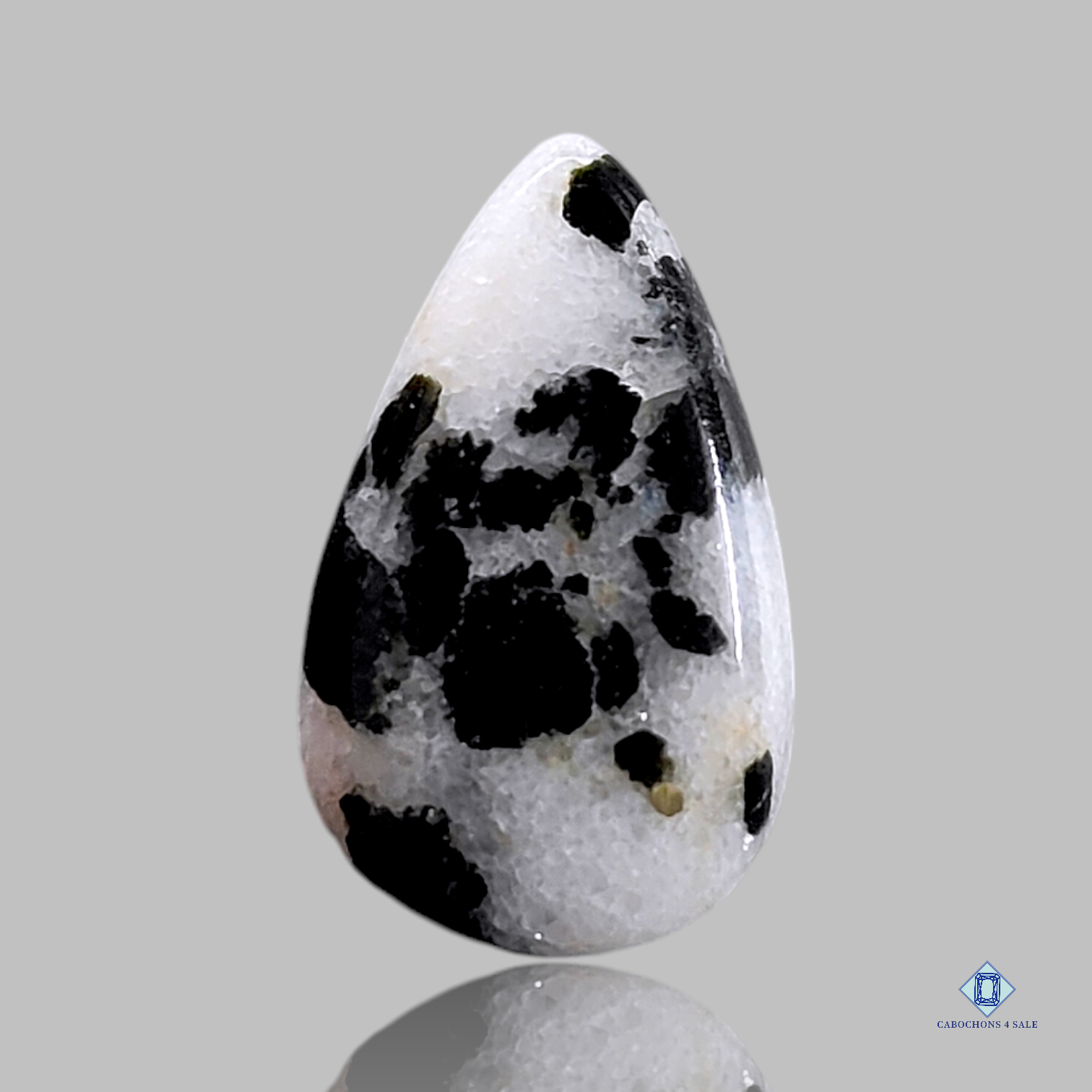 Black_Dot_Agate-c4sw1741-pear-White-Cabochons