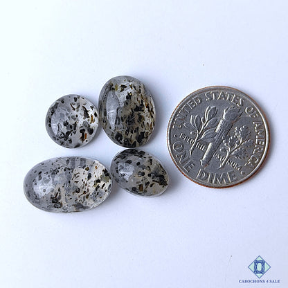 Black Dot Quartz
