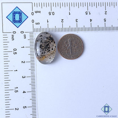 Black Dot Quartz