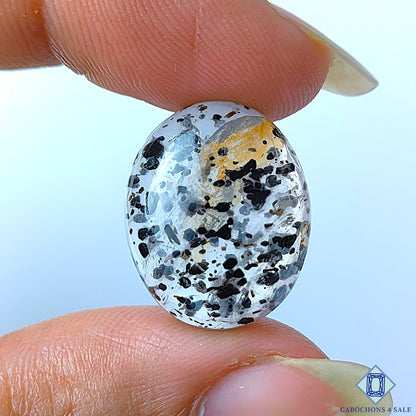 Black Dot Quartz