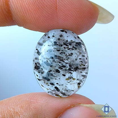 Black Dot Quartz