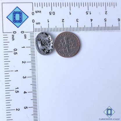 Black Dot Quartz