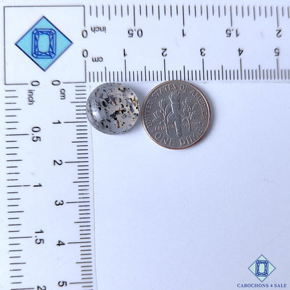 Black Dot Quartz