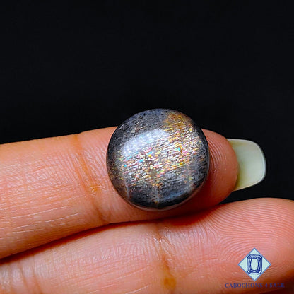 Black Meteor Shower Rainbow Lattice Sunstone