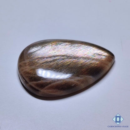 Black Rainbow Lattice Sunstone