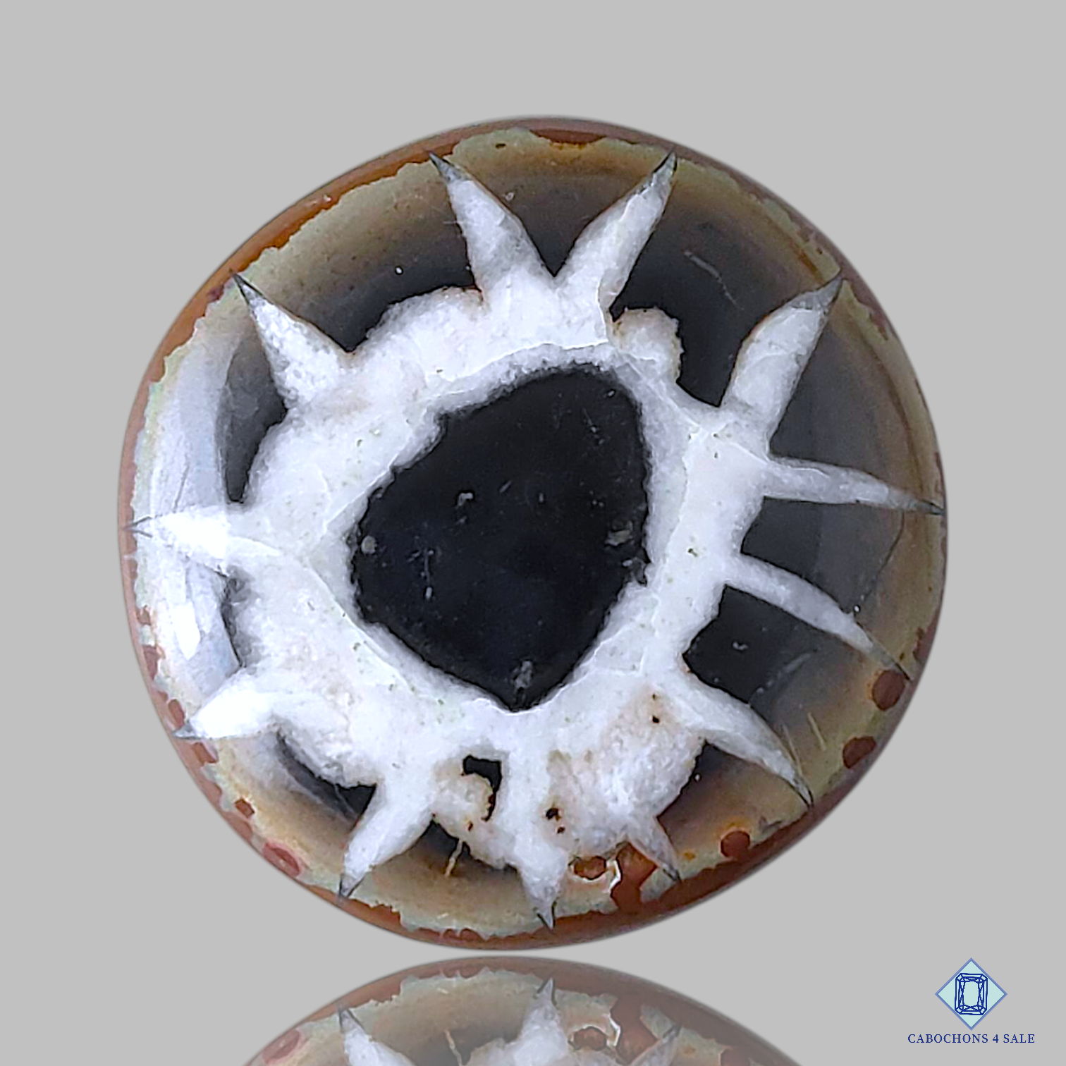 Black Septarian