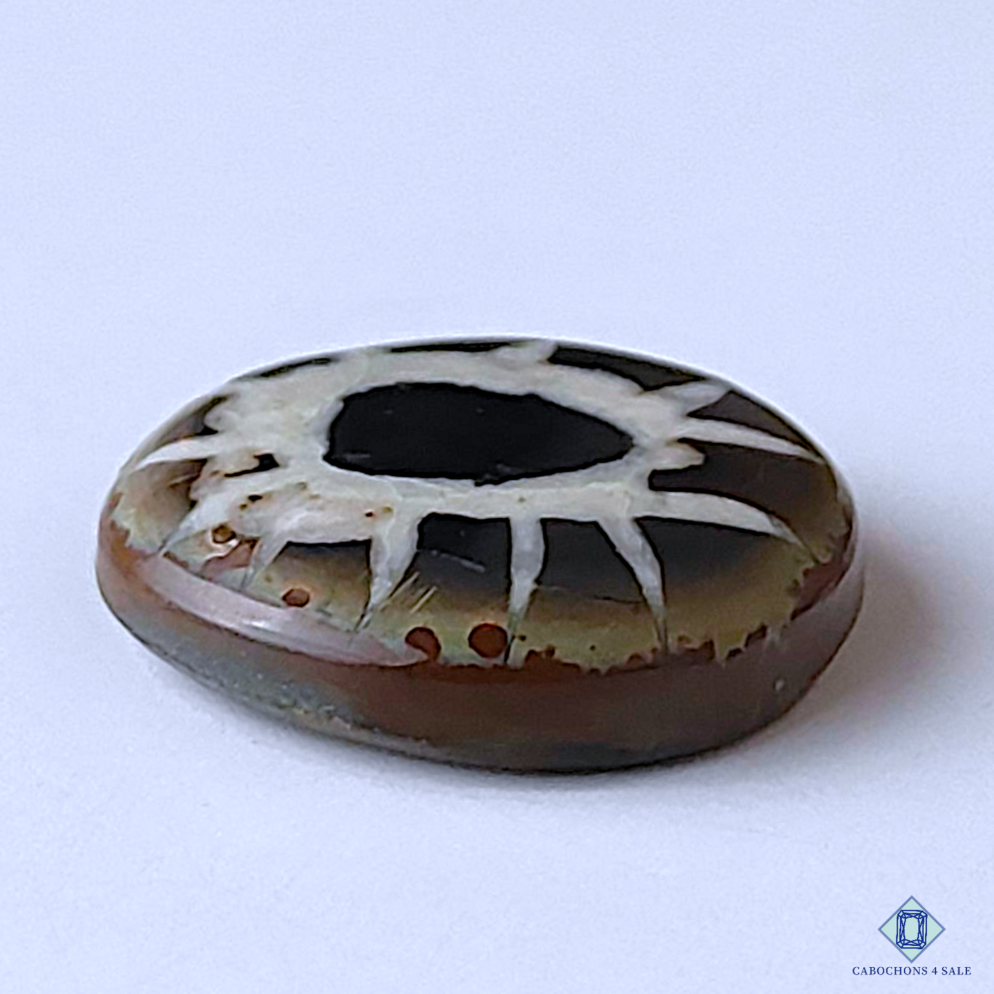 Black Septarian