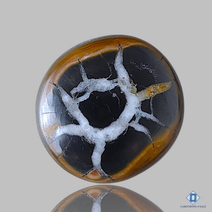 Black Septarian