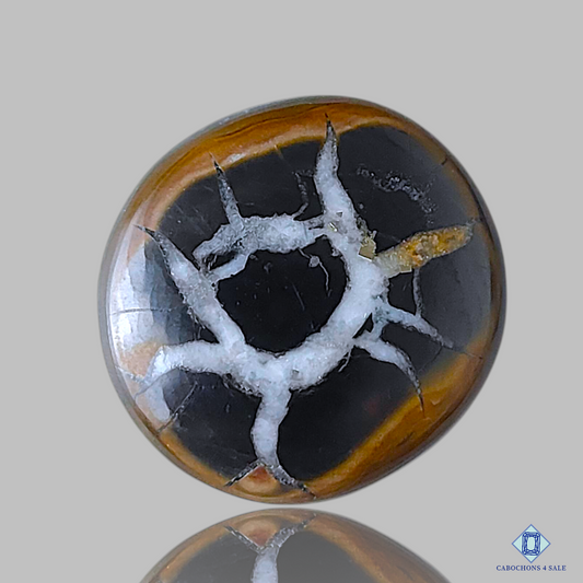 Black Septarian