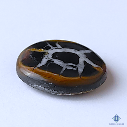 Black Septarian