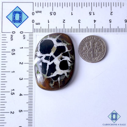 Black Septarian