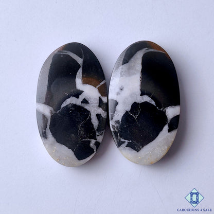Black Septarian