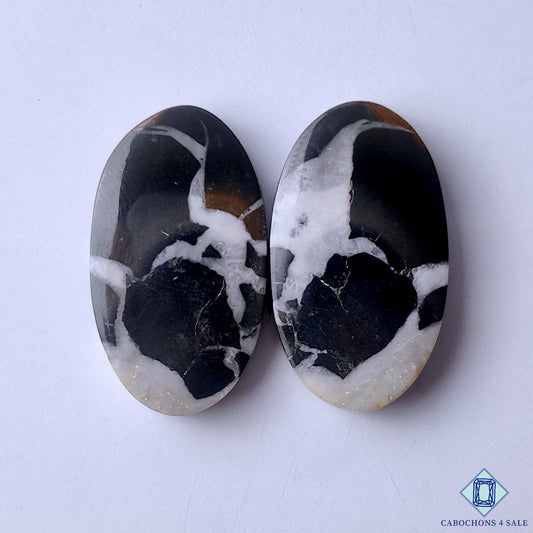 Black Septarian