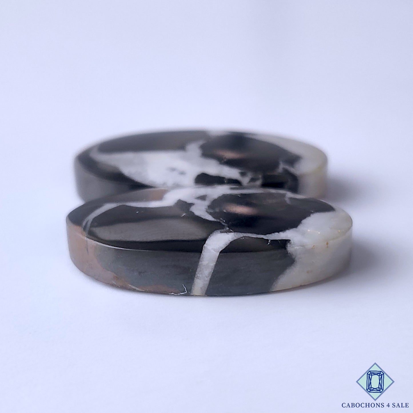Black Septarian