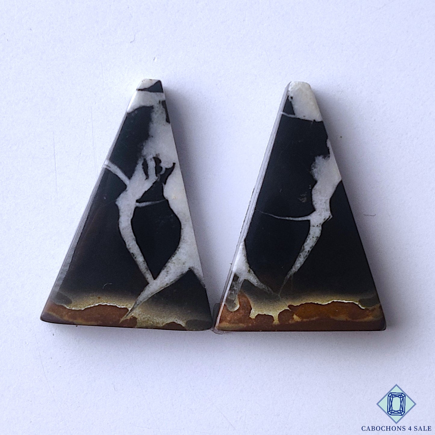 Black Septarian