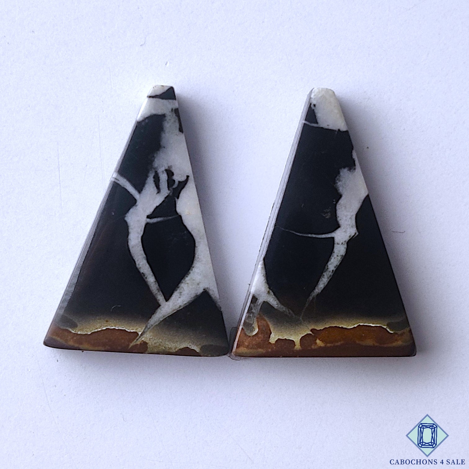Black Septarian