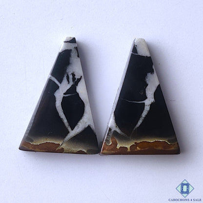 Black Septarian