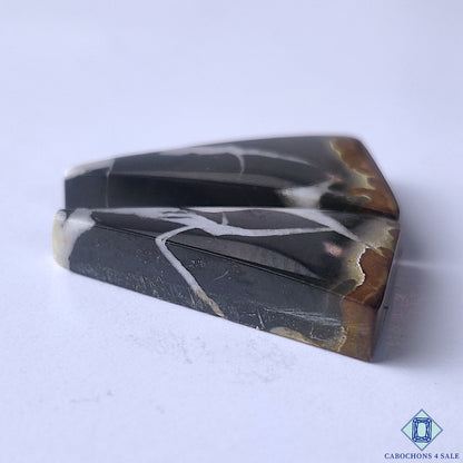 Black Septarian