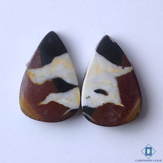 Black Septarian