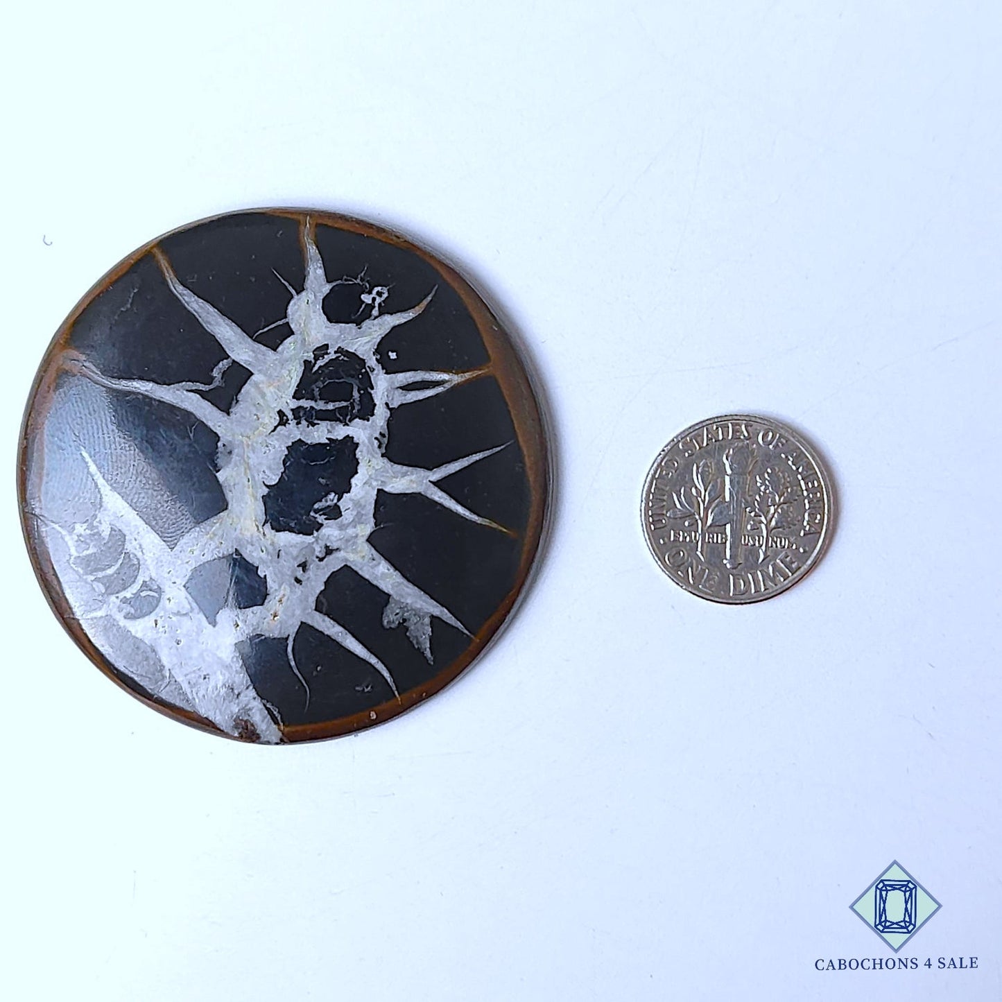 Natural Black Septarian Gemstone  Round Cabochons 50*5mm from Morocco  available for sale