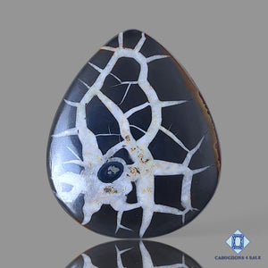 Natural Black Septarian Gemstone  Pear Cabochons 60*50*5mm from Morocco  available for sale