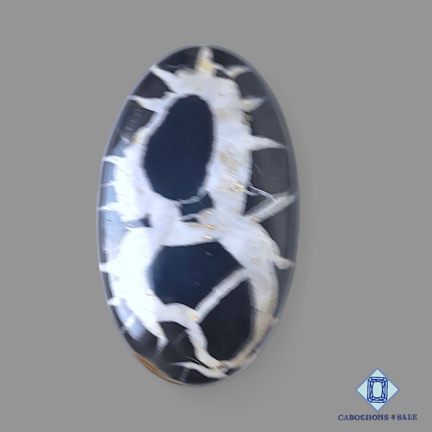 Black Septarian