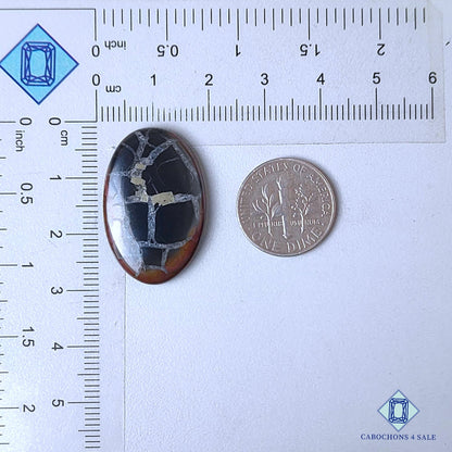 Natural Black Septarian Gemstone  Oval Cabochons 28*18*4mm from Morocco  available for sale