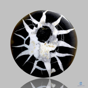 Black Septarian Round Cabochons