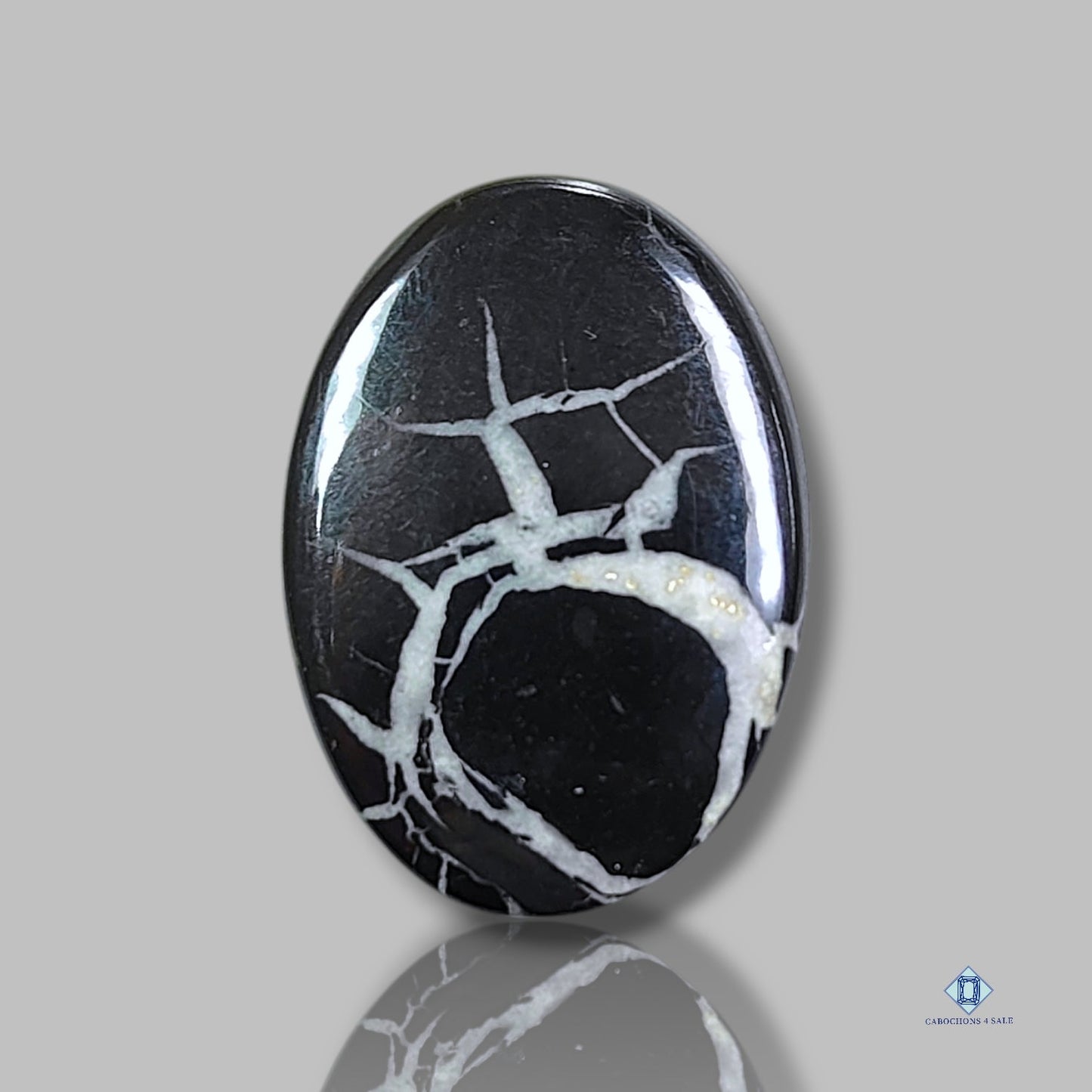 Black Septarian