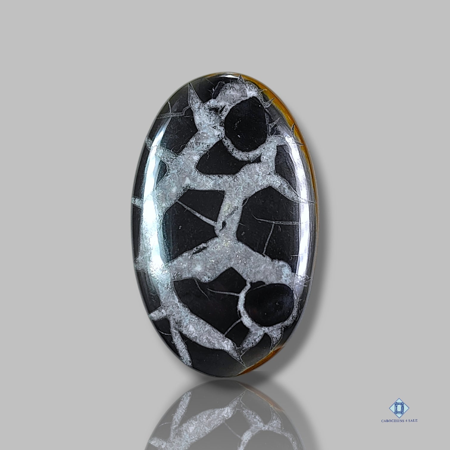 Black Septarian