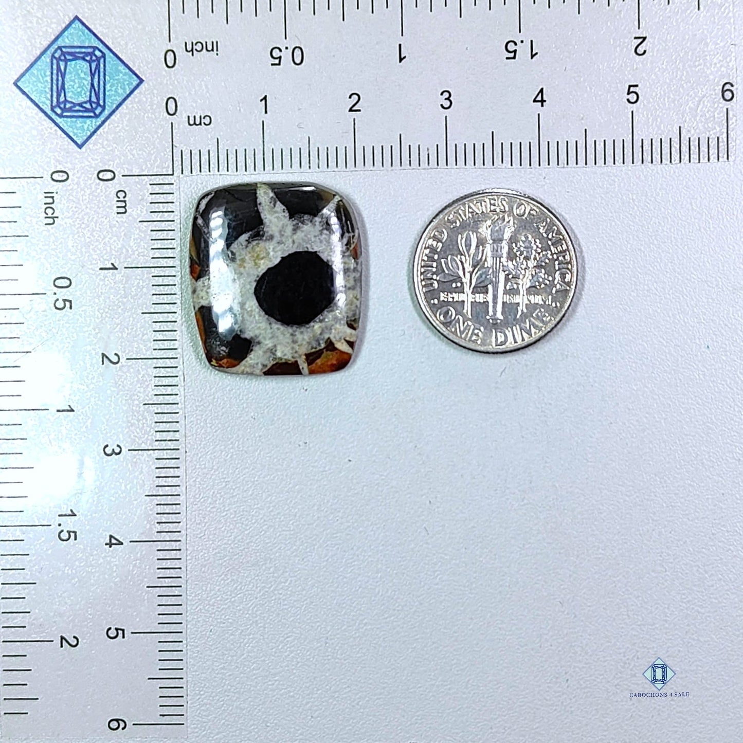 Black Septarian Rectangle Cabochons