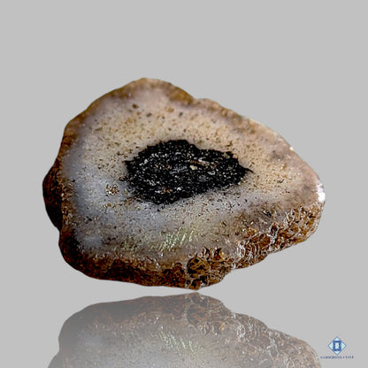 Black Solar Quartz Fancy Druzy