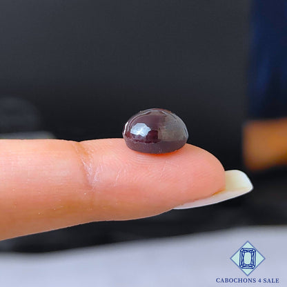 Black Star Mix Shape Lots