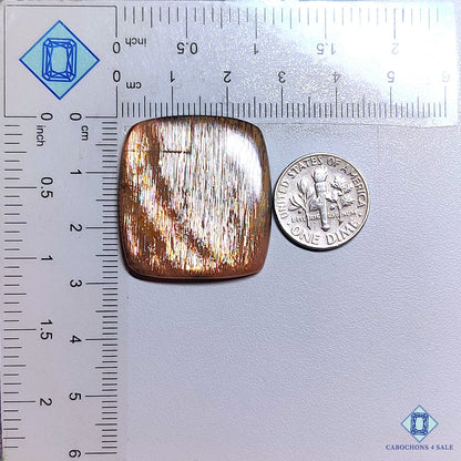 Black Tanzanian Rainbow Lattice Sunstone