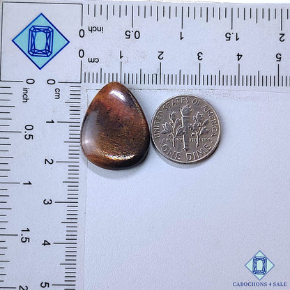 Black Tanzanian Rainbow Lattice Sunstone