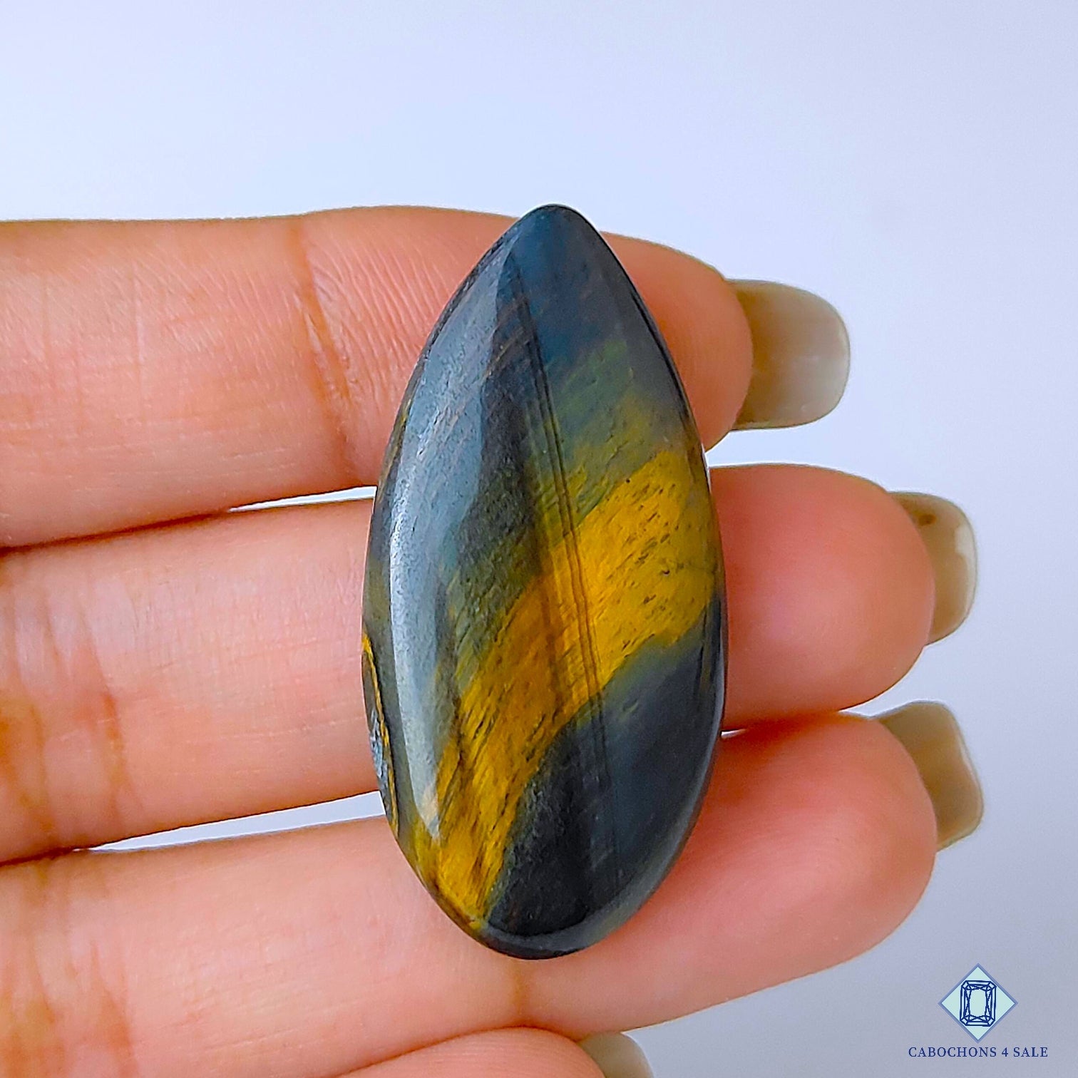 Black Tiger Eye